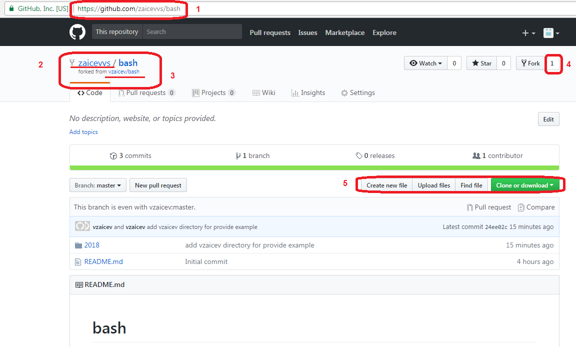 Github reg fork2.png