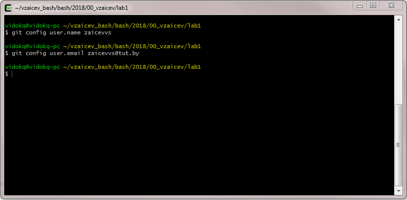 Config git.png